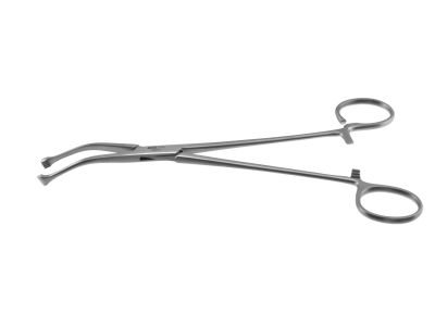 Allis-Coakley tonsil forceps, 7 7/8'',slightly curved, 5.0mm wide jaws, open ring handle
