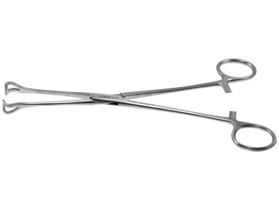 Babcock tissue holding forceps, 8'',straight, atraumatic grooves, ring handle
