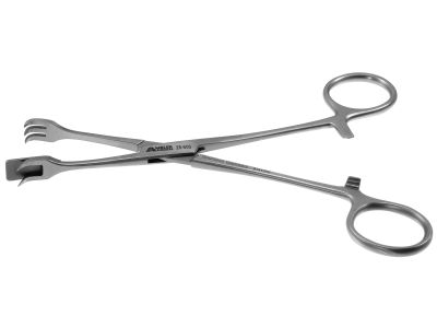 D'Assumpcao facelift (Rhytidectomy) marking forceps, 6'', 8.0mm wide, ring handle, with ratchet