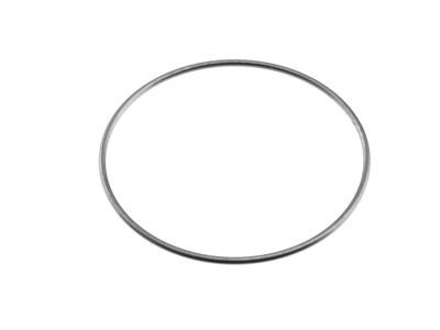 Flieringa fixation ring, 17.0mm diameter, polished finish