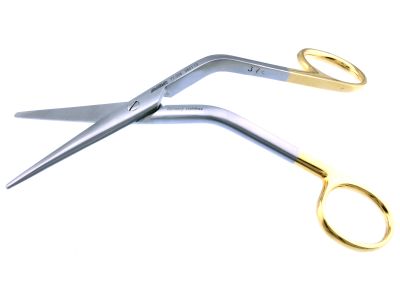 Cottle dorsal scissors, 6 1/4'',heavy, angled shanks, straight TC blades, serrated bottom blade, blunt tips, gold ring handle