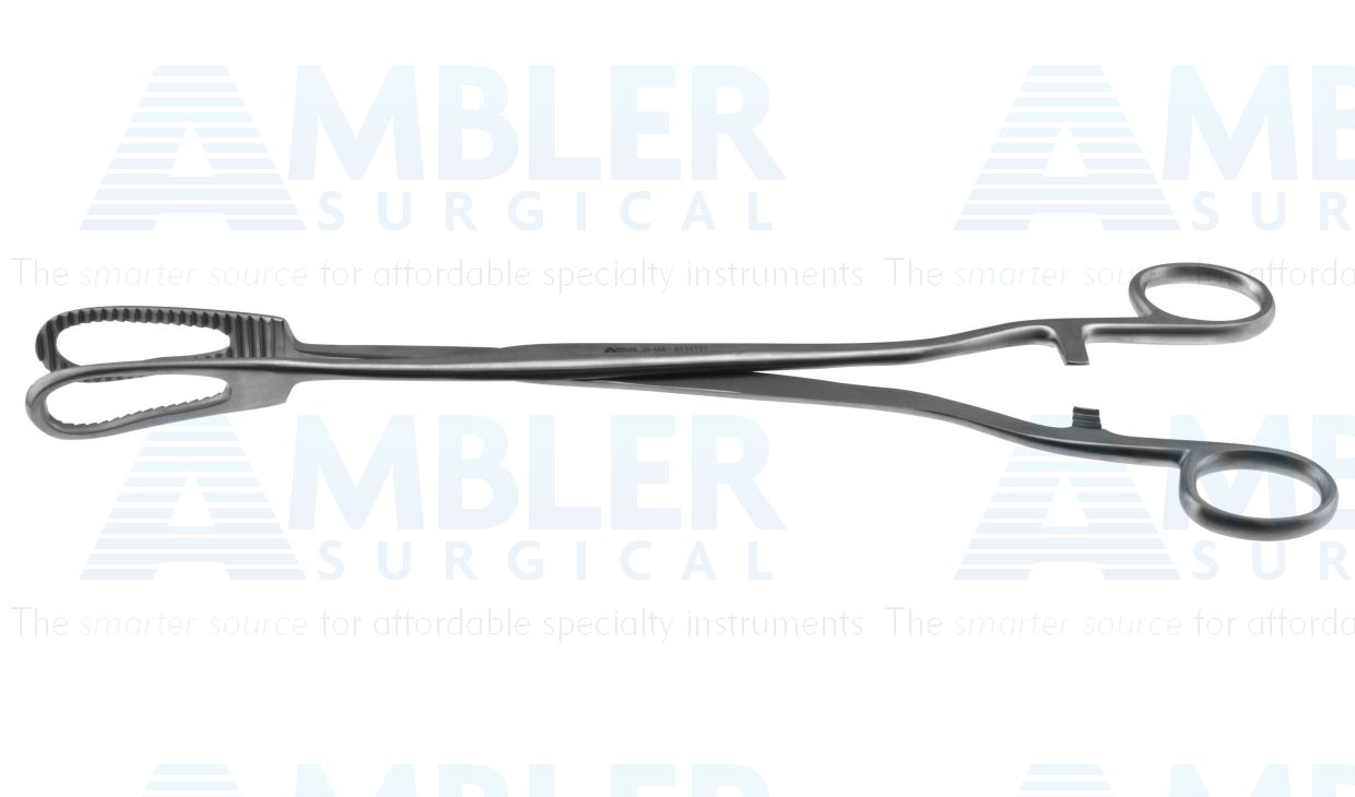 Bierer ovum forceps, 11'',straight, serrated, 19.0mm wide jaws, ring handle with ratchet catch